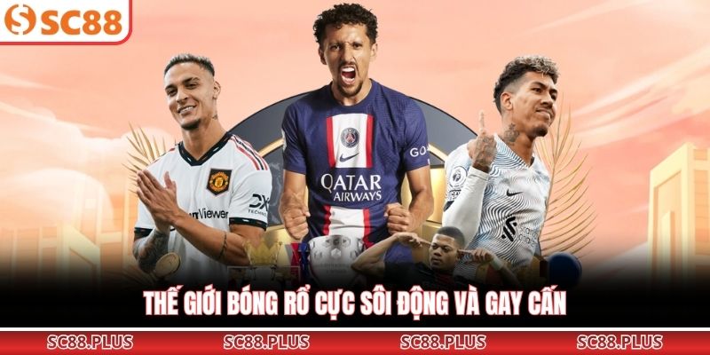 Thế giới bóng rổ cực sôi động và gay cấn